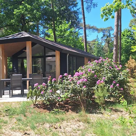 Vakantiehuis Type Veluwe 4p