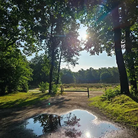 Type Veluwe 4p Otterlo