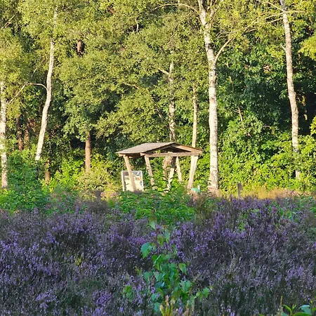 Type Veluwe 4p Otterlo