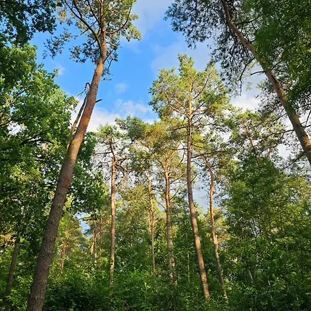 Type Veluwe 4p * 欧特罗