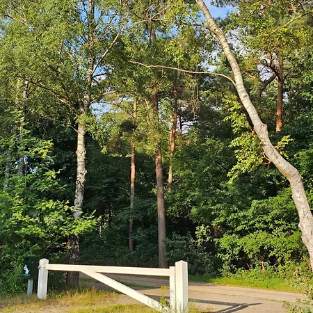 Type Veluwe 4p Otterlo