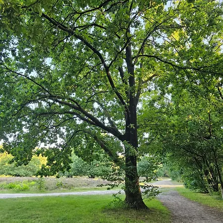 Vakantiehuis Type Veluwe 4p